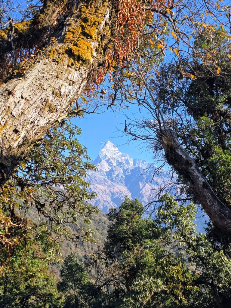 Annapurna Base camp, Kagbeni and Muktinath
